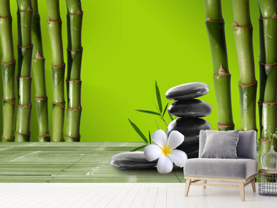 photo-wallpaper-bamboo