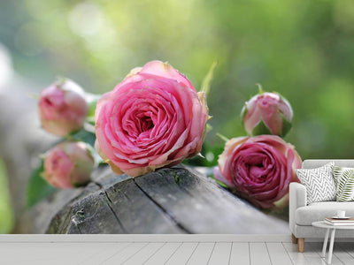 photo-wallpaper-bush-roses