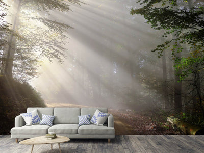 photo-wallpaper-mystical-light-in-the-forest