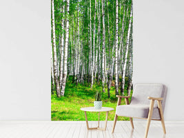 photo-wallpaper-the-birch-forest-in-summer