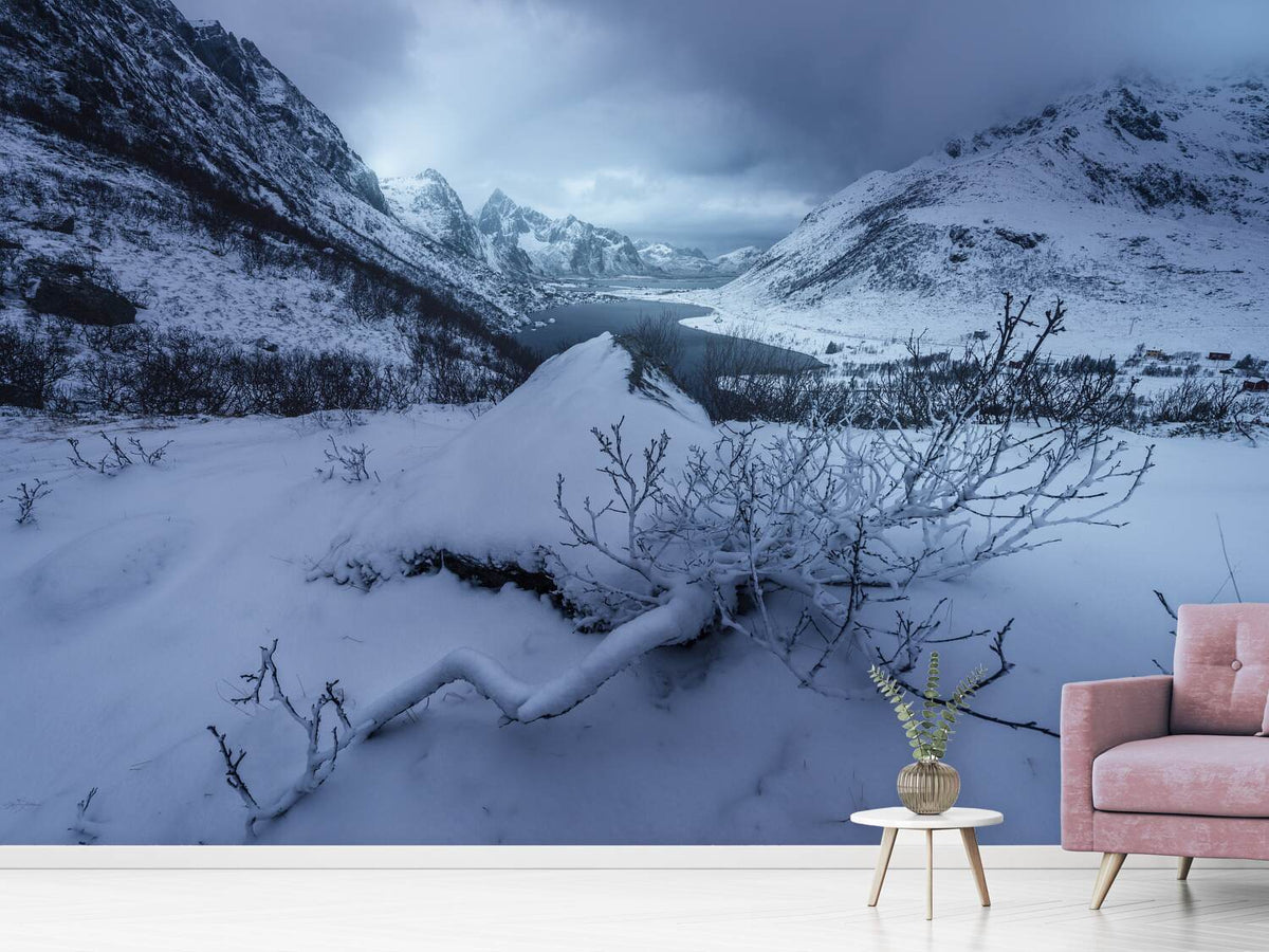 photo-wallpaper-winter-is-coming-a