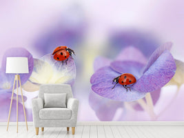 photo-wallpaper-red-and-purple-x