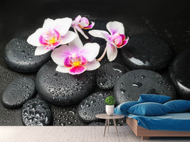 photo-wallpaper-feng-shui-orchid-zen