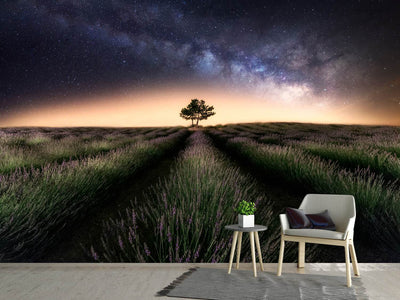 photo-wallpaper-lavender-way