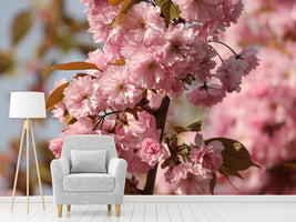 photo-wallpaper-the-ornamental-cherry