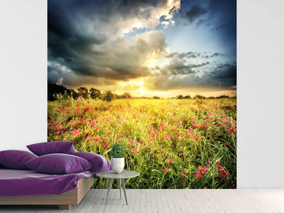 photo-wallpaper-flowers-landscape