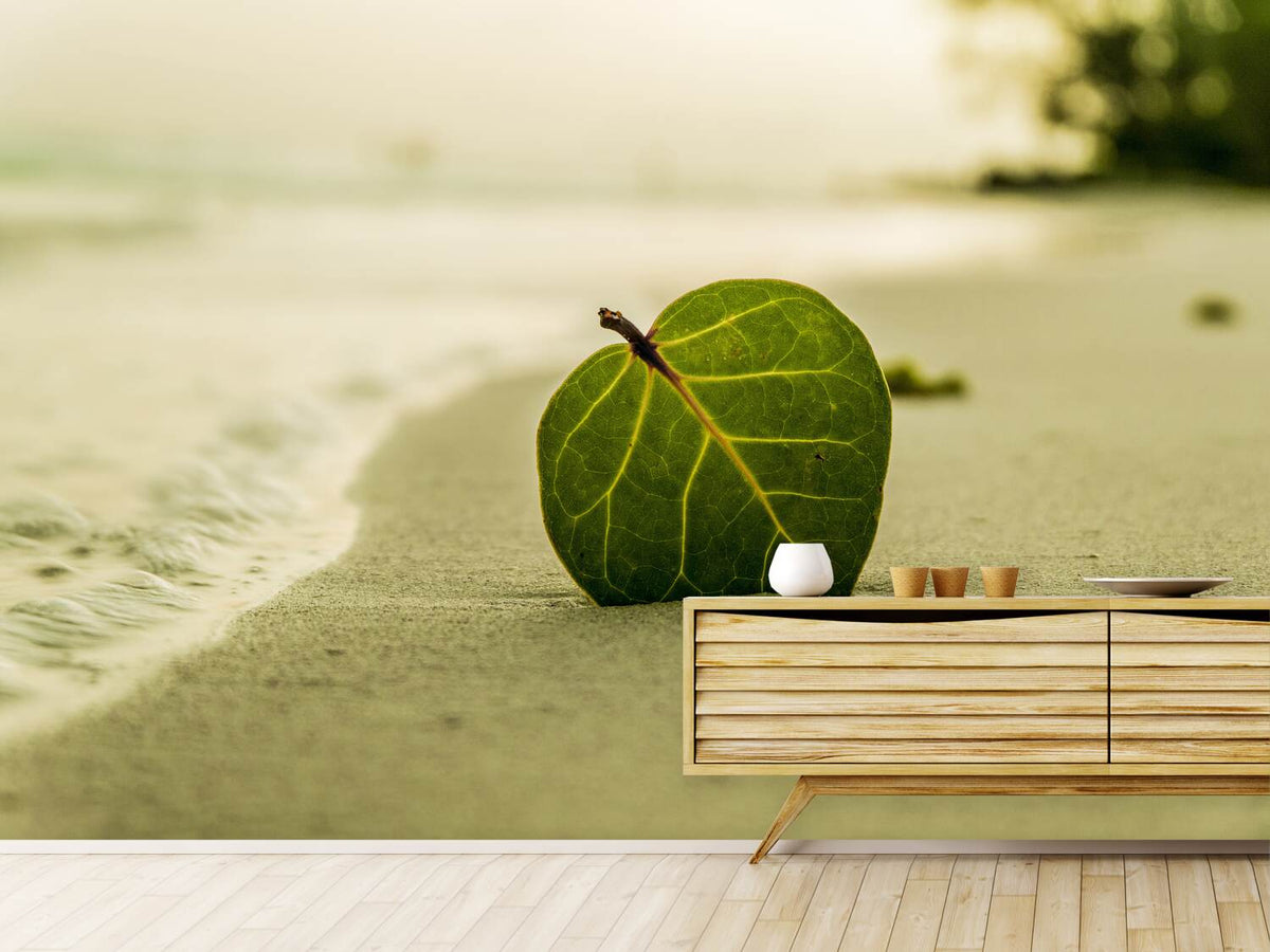 photo-wallpaper-beach-leaf