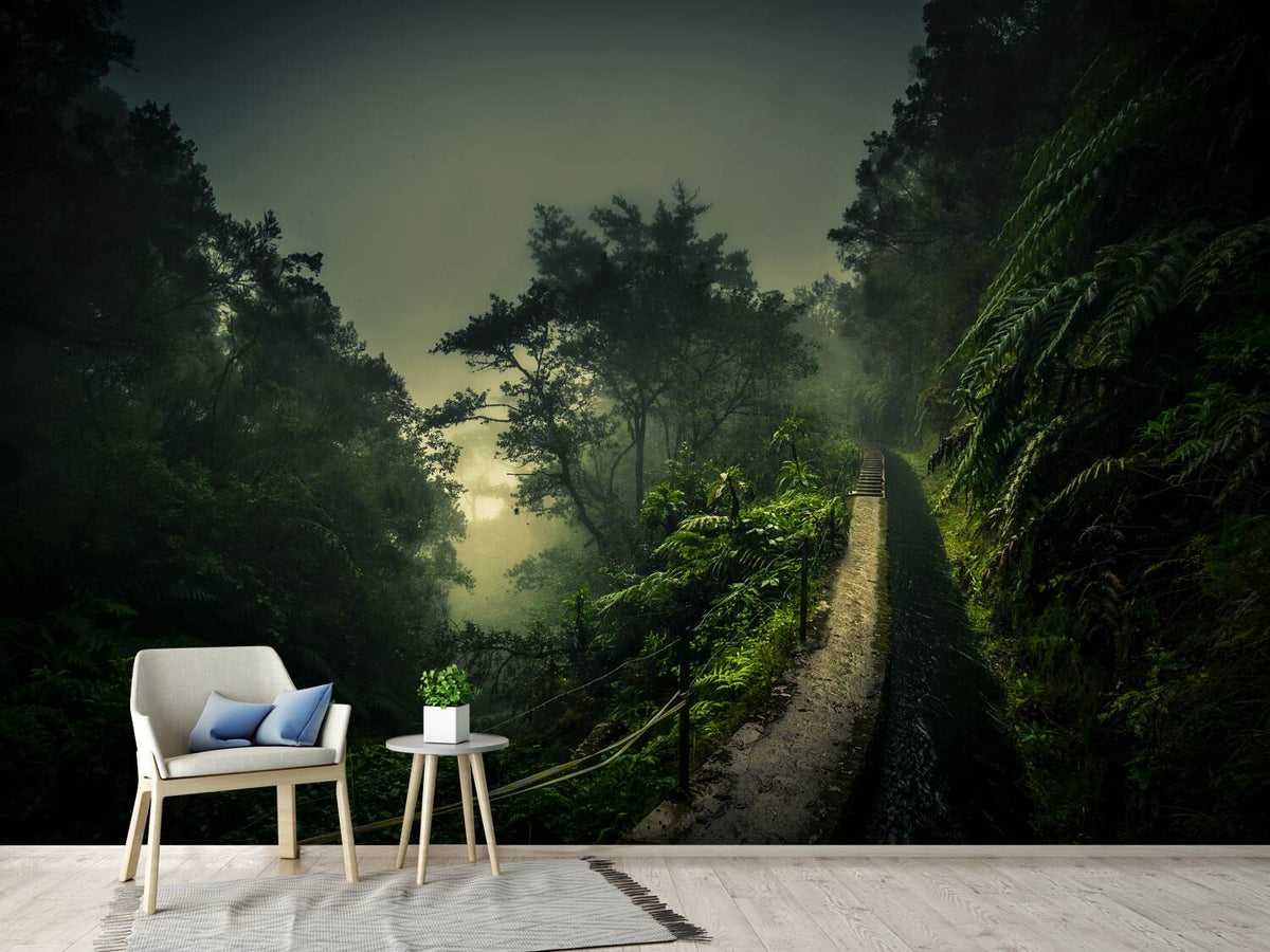 photo-wallpaper-levada-walk-x