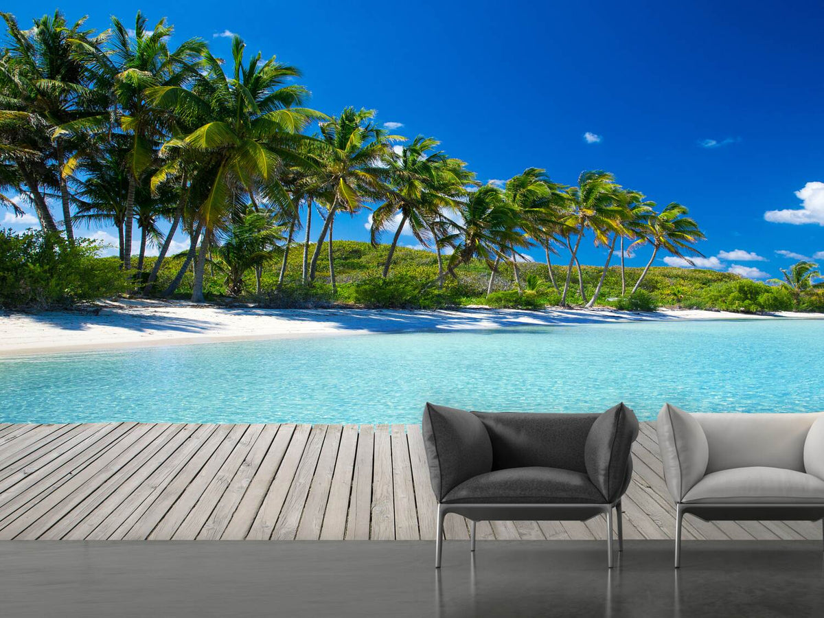 photo-wallpaper-beach-palms