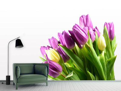 photo-wallpaper-tulips-in-xl