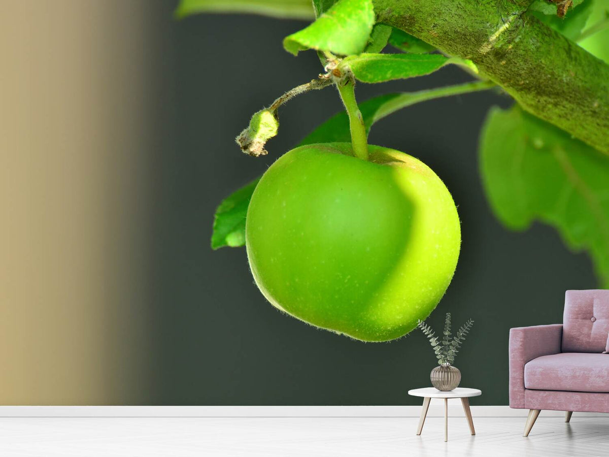 photo-wallpaper-green-apple