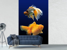 photo-wallpaper-2-funny-fish