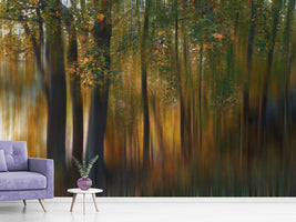 photo-wallpaper-fall-impression-i