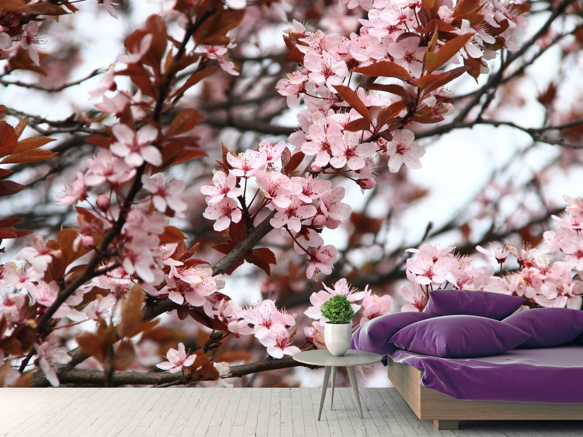 photo-wallpaper-spring-is-here