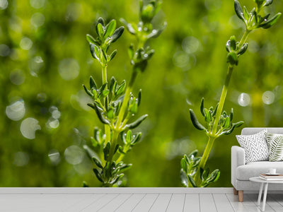 photo-wallpaper-fresh-thyme