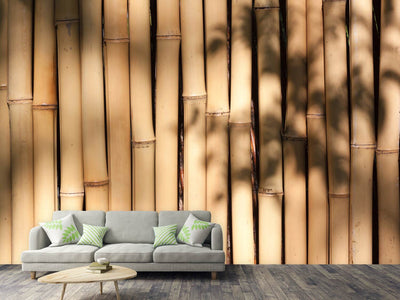 photo-wallpaper-natural-bamboo