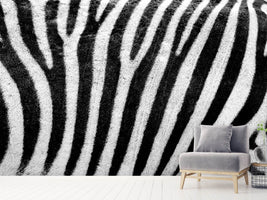 photo-wallpaper-strip-of-the-zebra