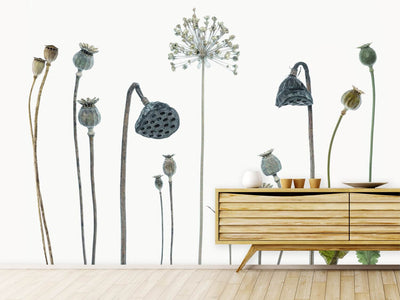 photo-wallpaper-seed-heads-x