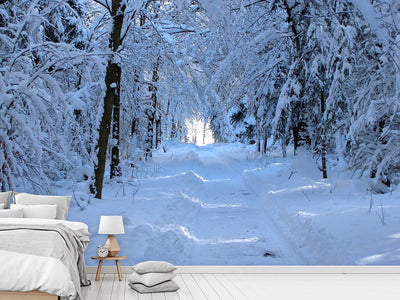 photo-wallpaper-finally-winter