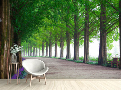 photo-wallpaper-beautiful-tree-avenue