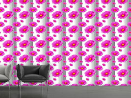 patterned-wallpaper-pink-cosmea