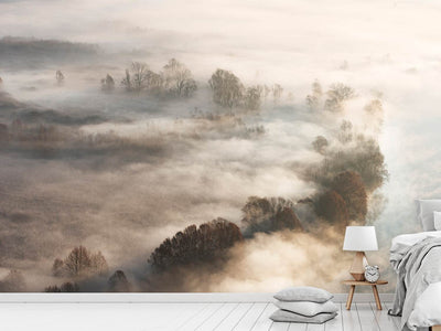 photo-wallpaper-trees-in-the-fog-x