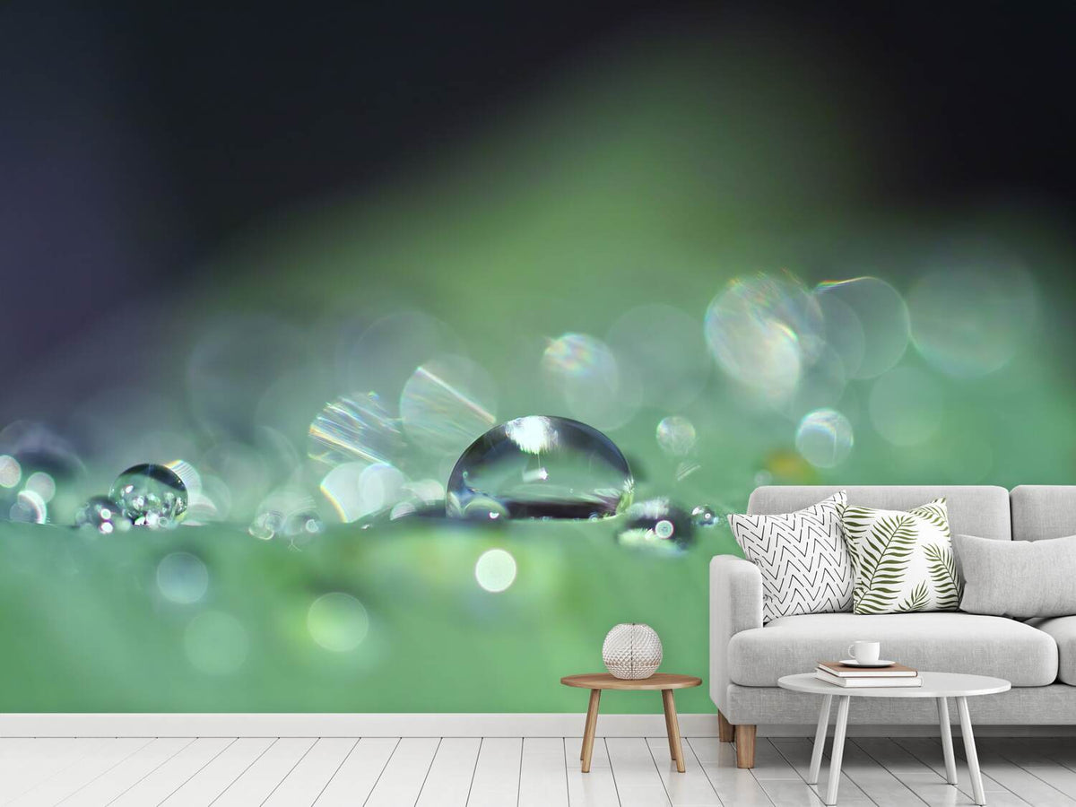 photo-wallpaper-drops-of-water-in-xxl