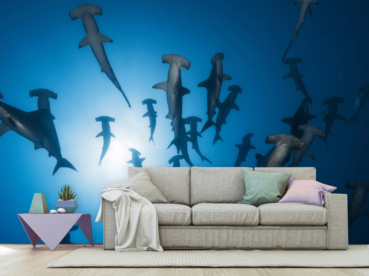 photo-wallpaper-hammerhead-sharks-in-the-light