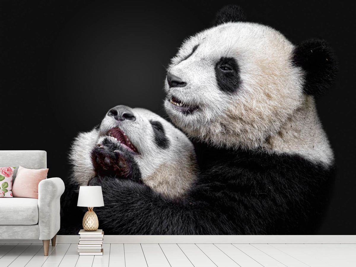 photo-wallpaper-pandas-x