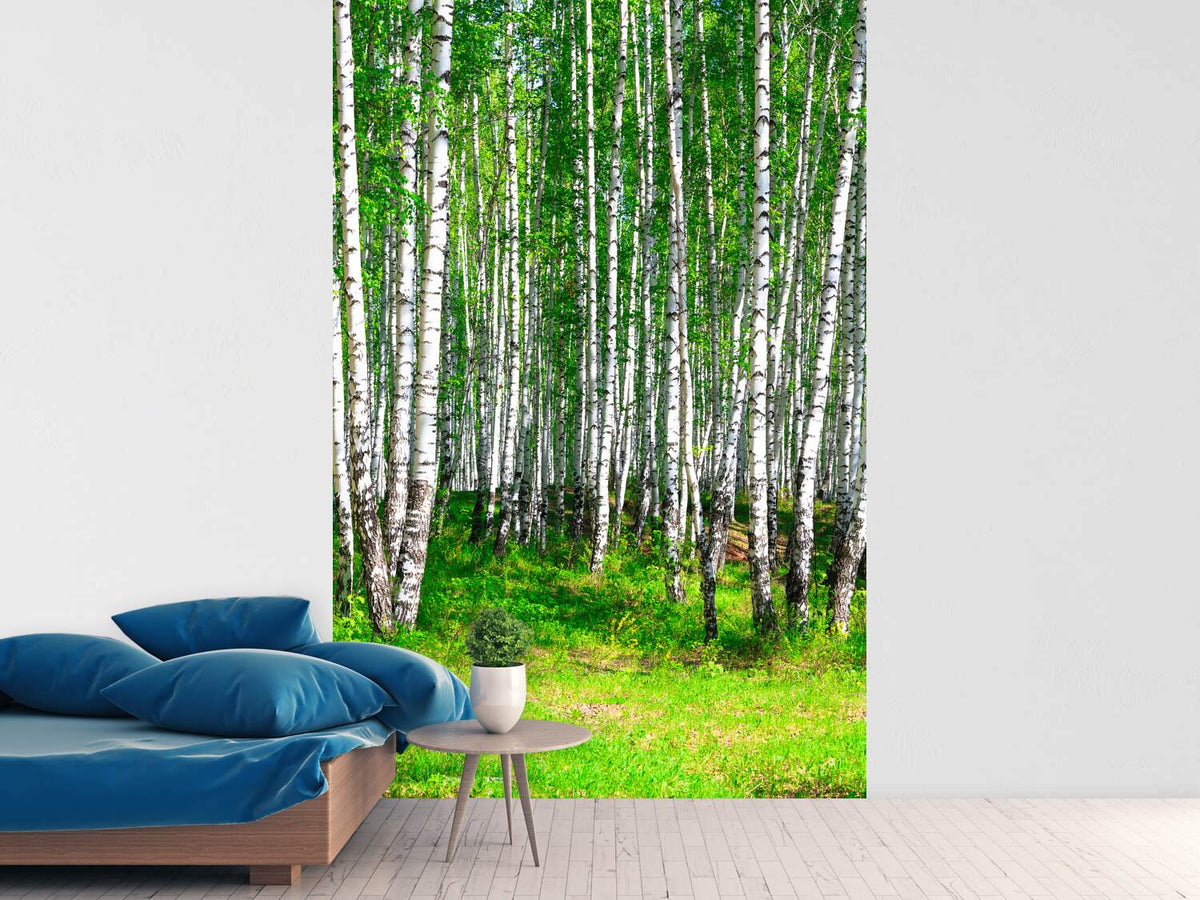 photo-wallpaper-the-birch-forest-in-summer