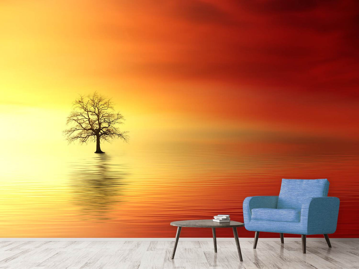 photo-wallpaper-the-tree-in-the-water