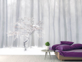 photo-wallpaper-in-front-of-the-misty-curtain-x