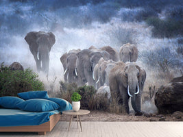 photo-wallpaper-elephants-of-amboseli-x