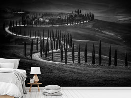 photo-wallpaper-podere-baccoleno-x