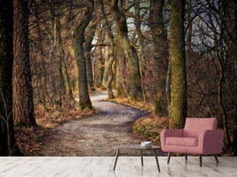 photo-wallpaper-enchanted-forest