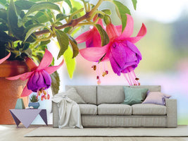 photo-wallpaper-the-fuchsias