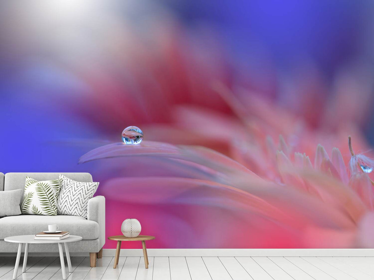 photo-wallpaper-colorful-explosion