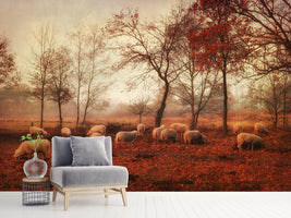 photo-wallpaper-last-days-of-autumn