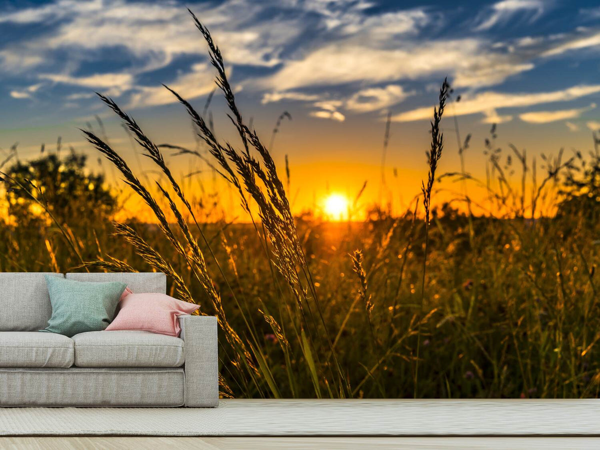 photo-wallpaper-the-sunset-on-the-field