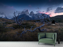 photo-wallpaper-torres-del-paine-x