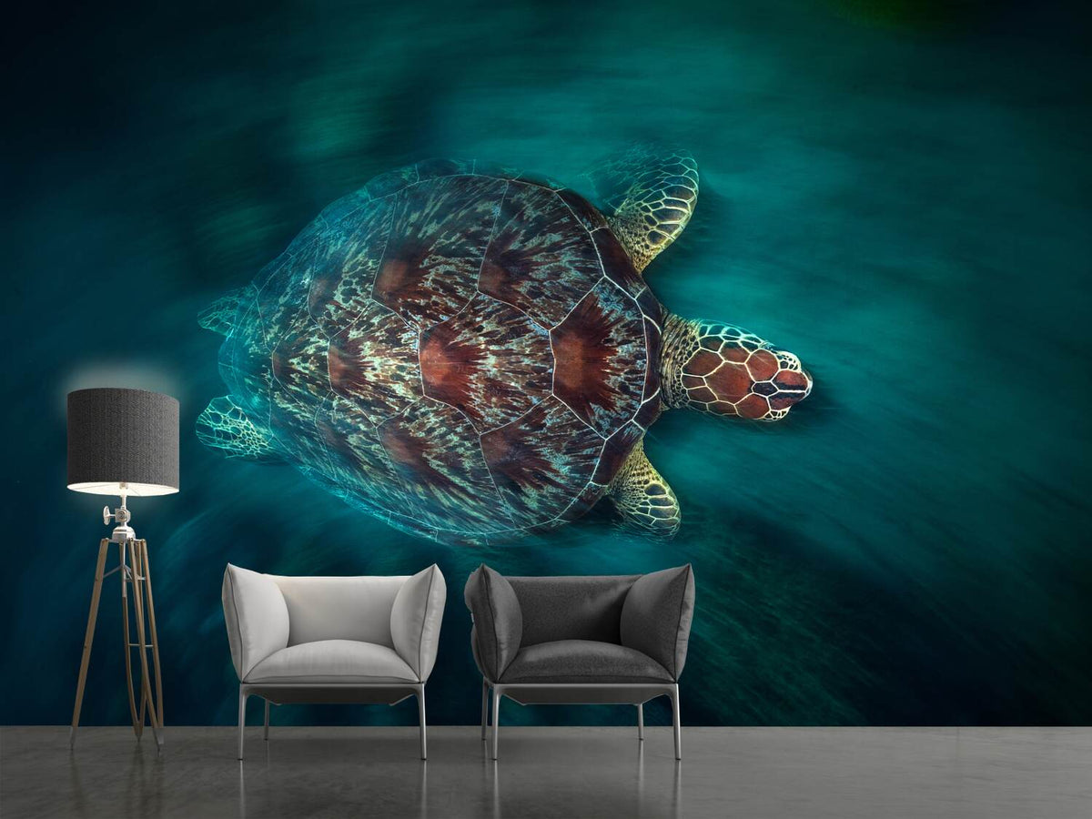 photo-wallpaper-valocity-turtle