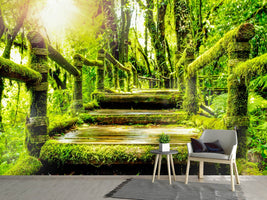 photo-wallpaper-moss