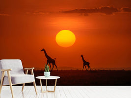 photo-wallpaper-giraffes-in-the-sunset-x