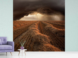 photo-wallpaper-storm-ii