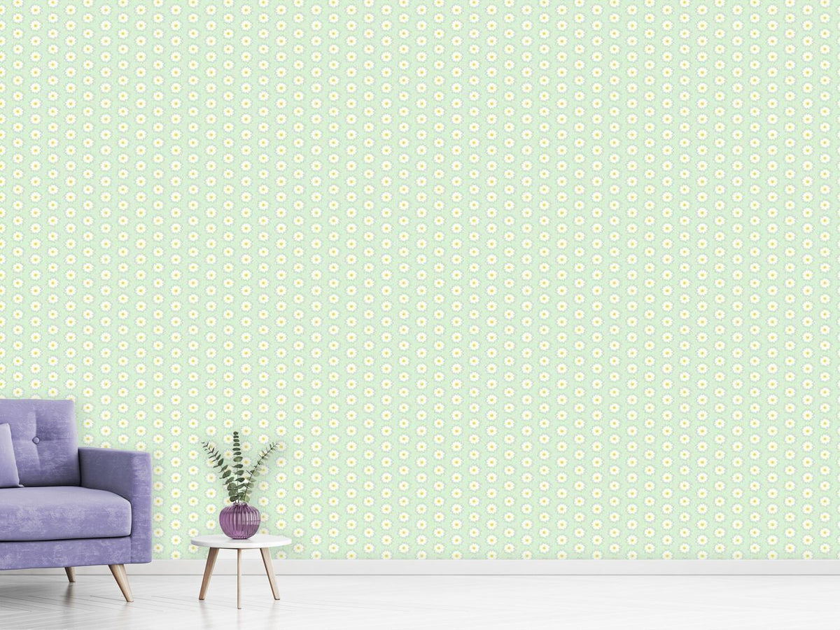 patterned-wallpaper-a-daisy-dream