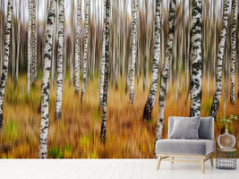 photo-wallpaper-3d-birches-x