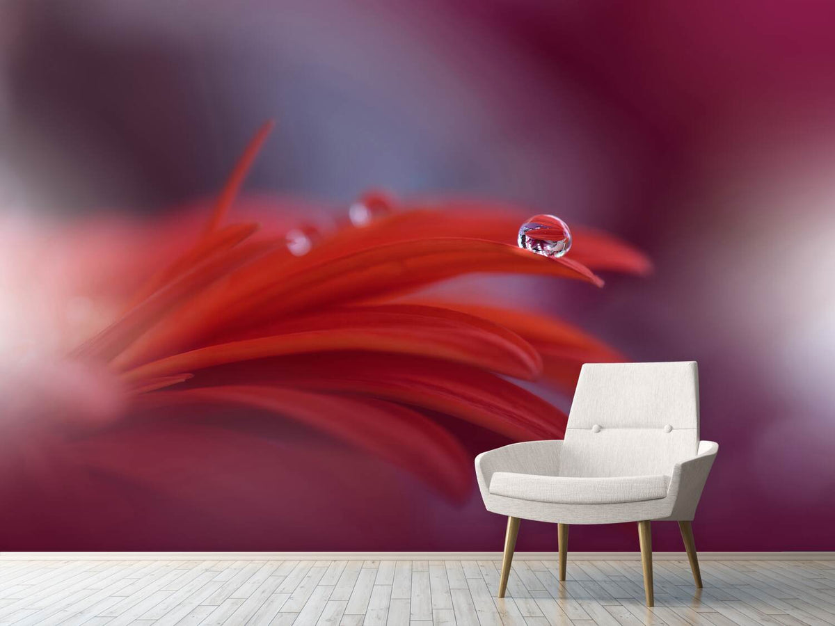 photo-wallpaper-red-passion