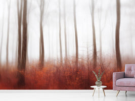 photo-wallpaper-endless-woods-x