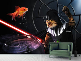 photo-wallpaper-darth-sushi