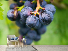 photo-wallpaper-grapes